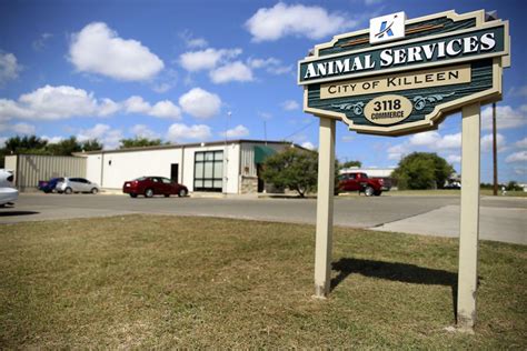 Killeen animal control. Things To Know About Killeen animal control. 